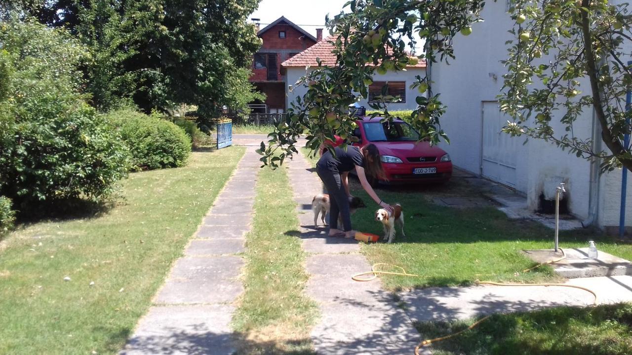 Home Of Nature - Kuca Prirode Odžak Zewnętrze zdjęcie