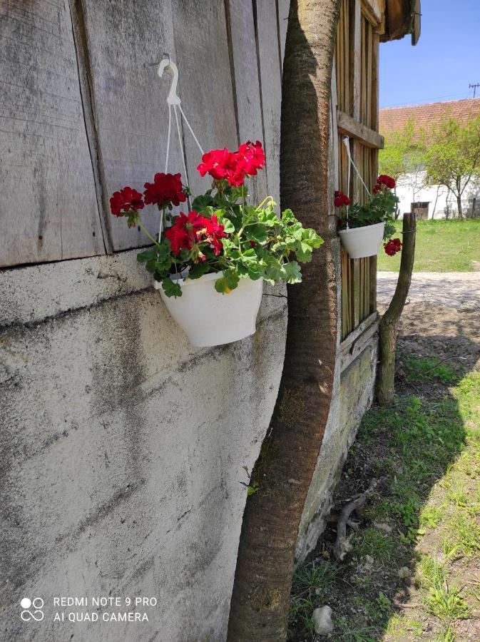Home Of Nature - Kuca Prirode Odžak Zewnętrze zdjęcie