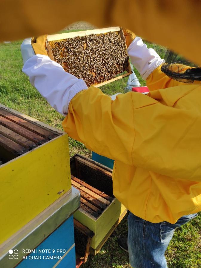 Home Of Nature - Kuca Prirode Odžak Zewnętrze zdjęcie