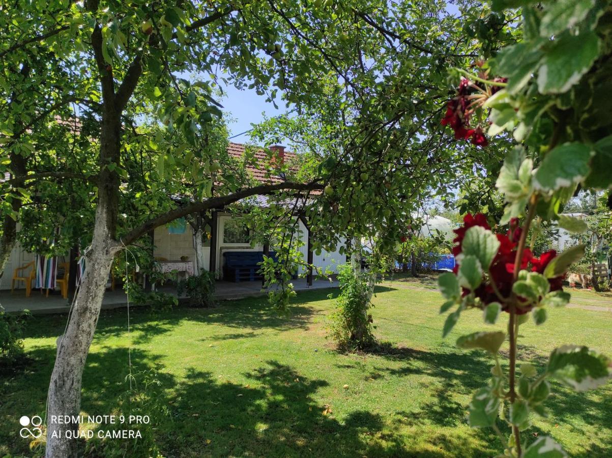 Home Of Nature - Kuca Prirode Odžak Zewnętrze zdjęcie